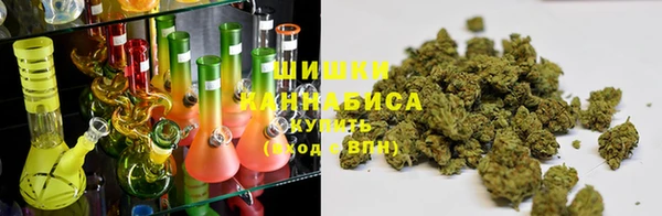 PSILOCYBIN Ладушкин