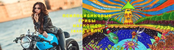 прущий лед Лагань