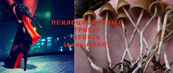 прущий лед Лагань