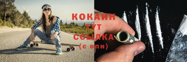прущий лед Лагань