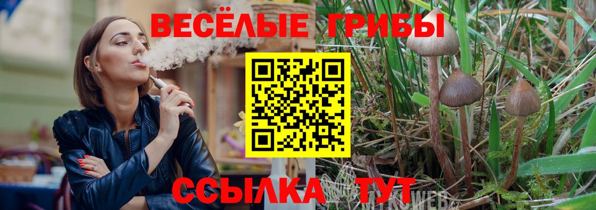 Псилоцибиновые грибы GOLDEN TEACHER Курск