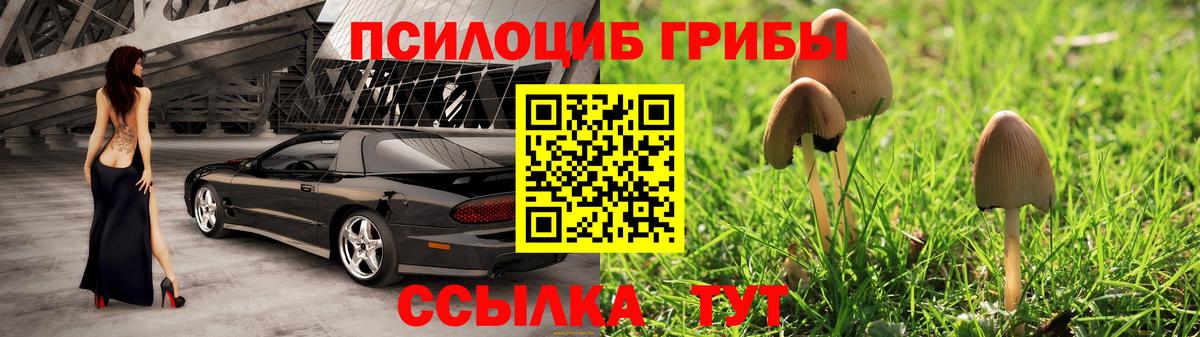 Курск  Псилоцибиновые грибы ЛСД  Галлюциногенные грибы Cubensis  Вход с VPN 