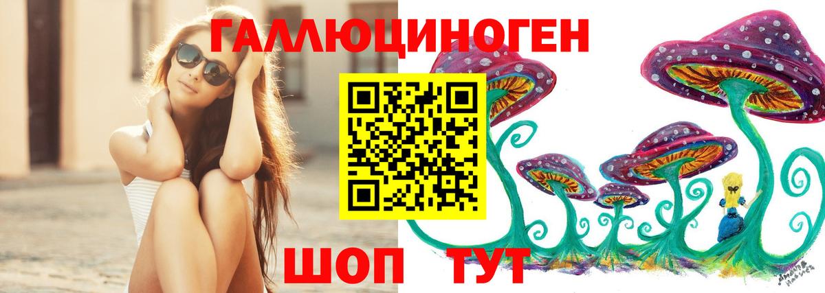 Псилоцибиновые грибы Cubensis  Галлюциногенные грибы Cubensis  Курск  Вход с VPN 
